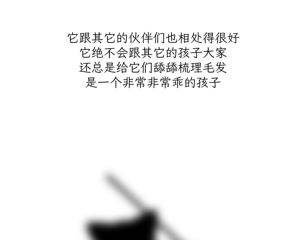 《吐司猫咪POUNDCAT》宝贝的过去 第23页