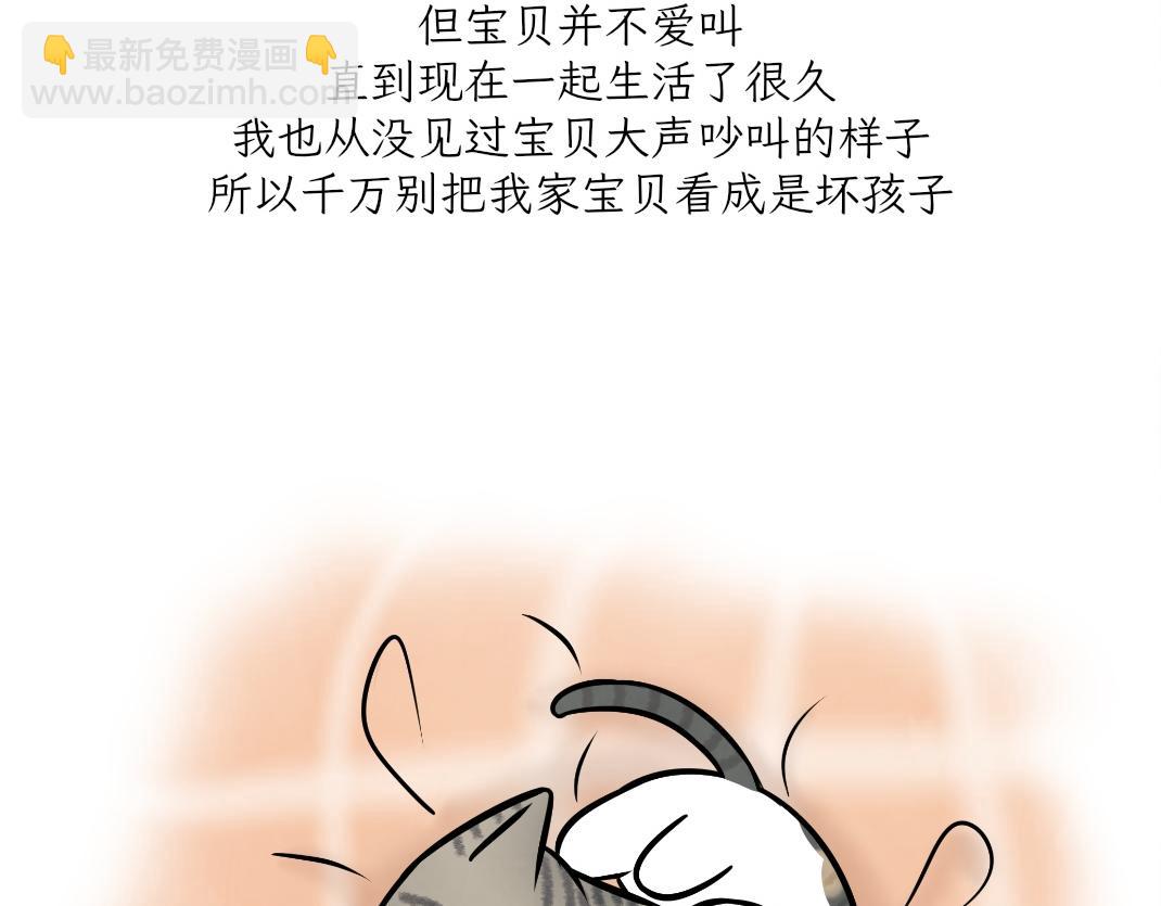 《吐司猫咪POUNDCAT》宝贝的过去 第30页