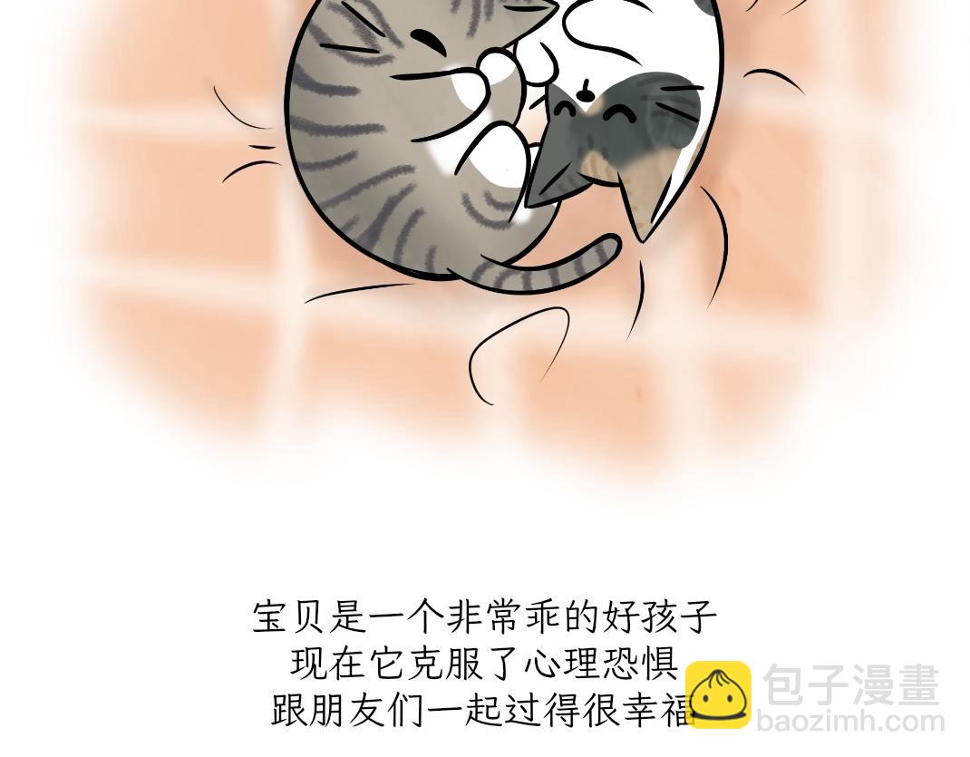 《吐司猫咪POUNDCAT》宝贝的过去 第31页