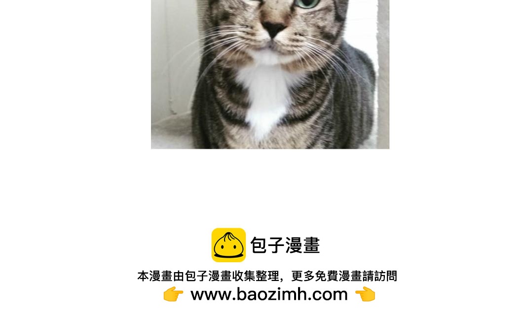 《吐司猫咪POUNDCAT》宝贝的过去 第33页