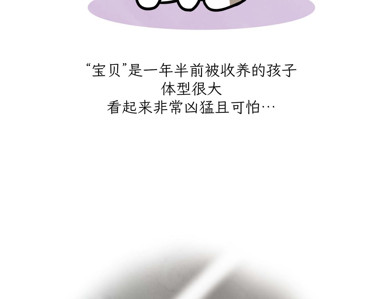 《吐司猫咪POUNDCAT》宝贝的过去 第7页