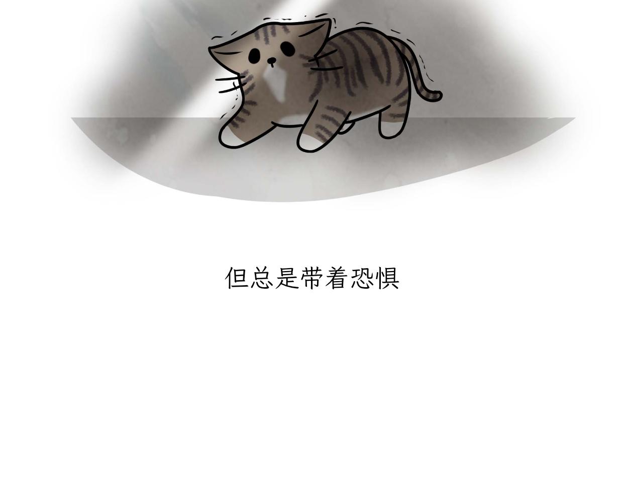《吐司猫咪POUNDCAT》宝贝的过去 第8页