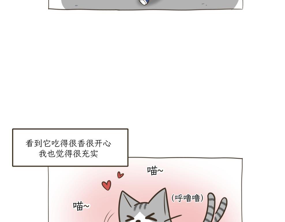 《吐司猫咪POUNDCAT》依喵儿的故事 第11页