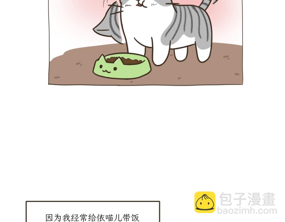 《吐司猫咪POUNDCAT》依喵儿的故事 第12页