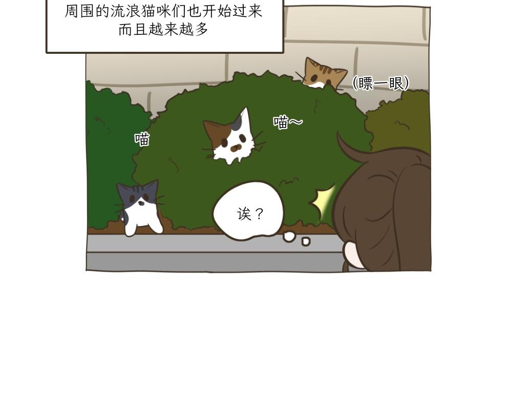 《吐司猫咪POUNDCAT》依喵儿的故事 第13页