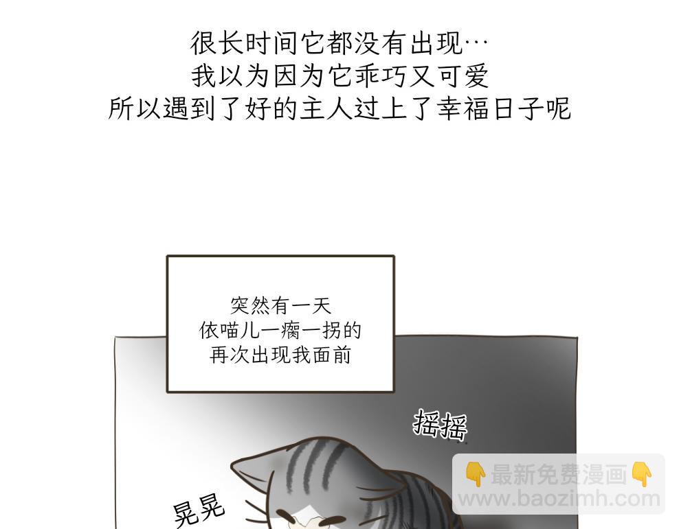 《吐司猫咪POUNDCAT》依喵儿的故事 第15页