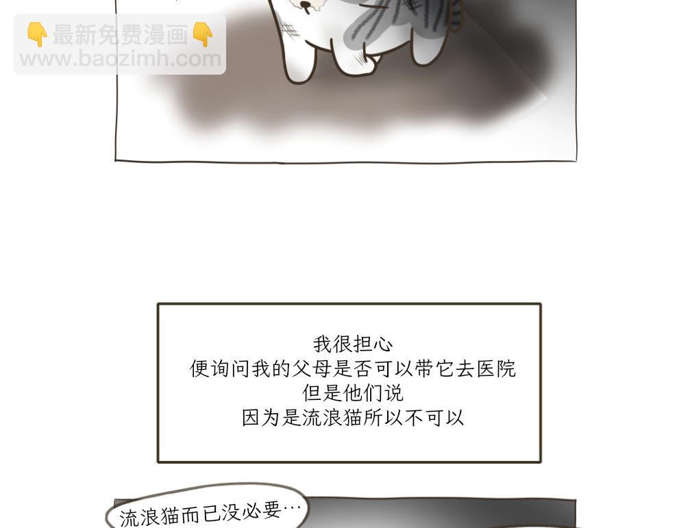 《吐司猫咪POUNDCAT》依喵儿的故事 第16页
