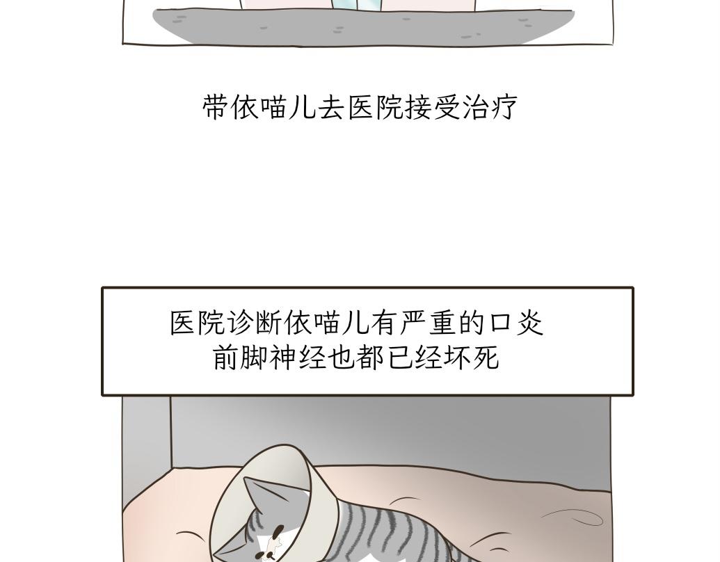 《吐司猫咪POUNDCAT》依喵儿的故事 第22页