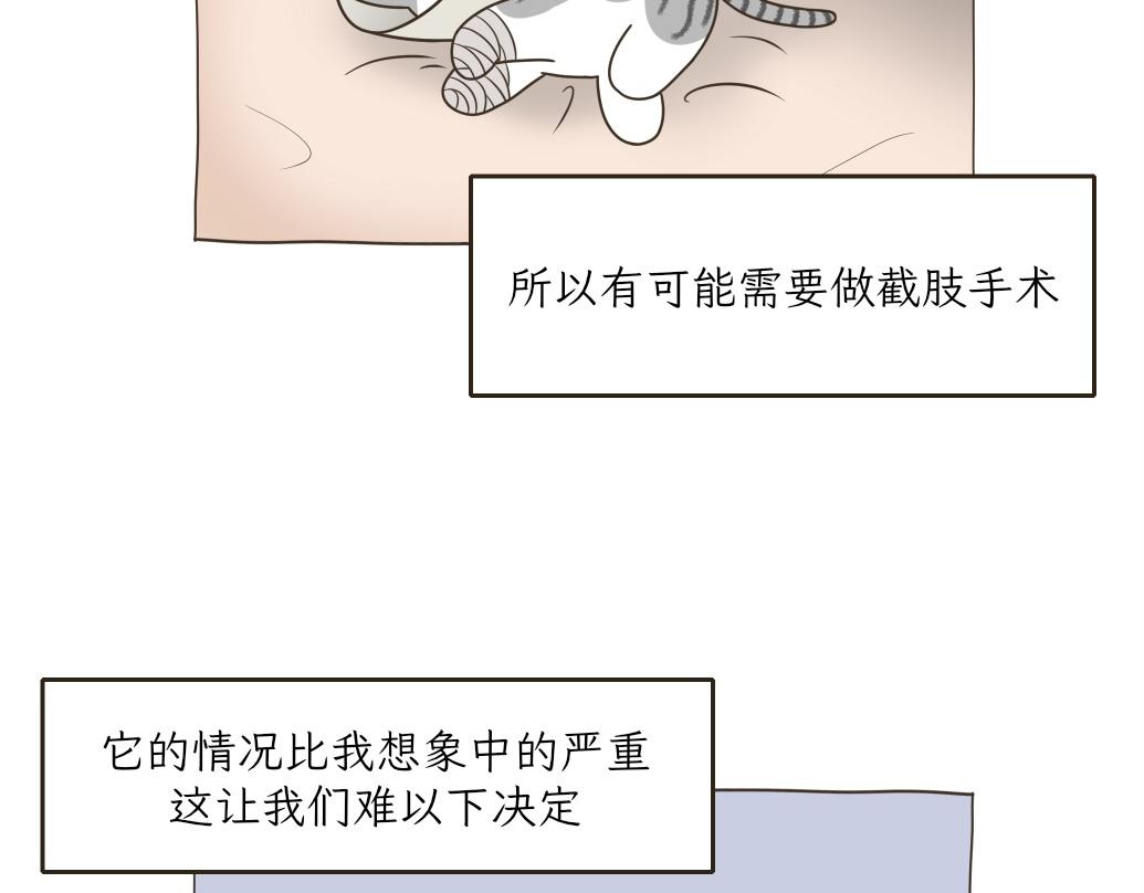 《吐司猫咪POUNDCAT》依喵儿的故事 第23页