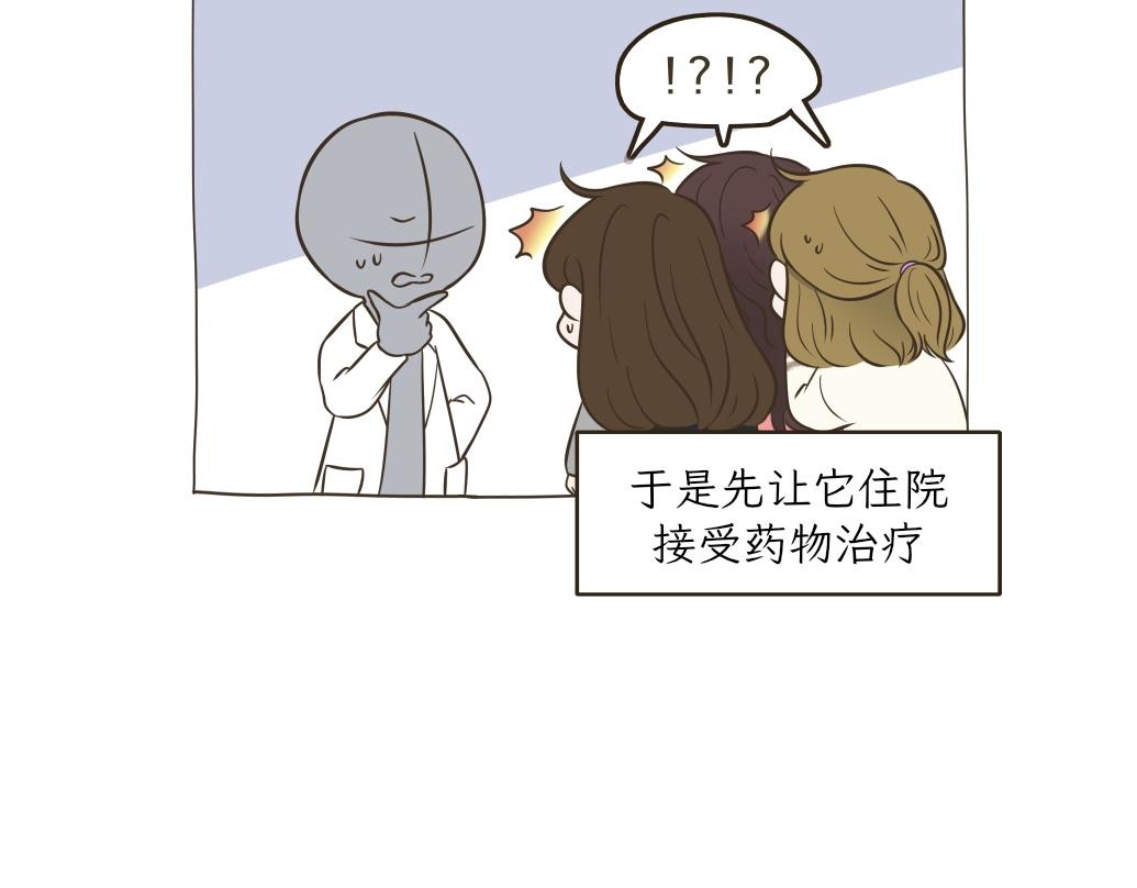 《吐司猫咪POUNDCAT》依喵儿的故事 第24页