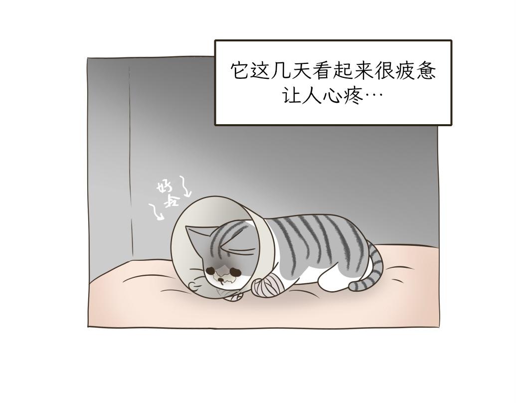 《吐司猫咪POUNDCAT》依喵儿的故事 第25页