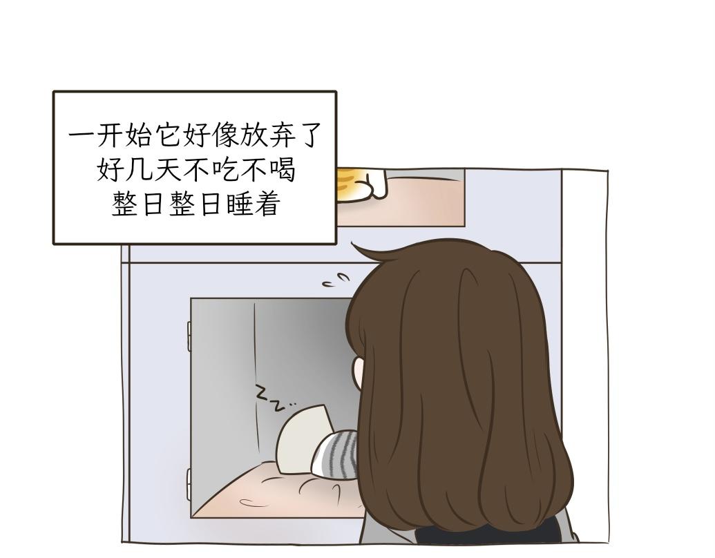 《吐司猫咪POUNDCAT》依喵儿的故事 第26页