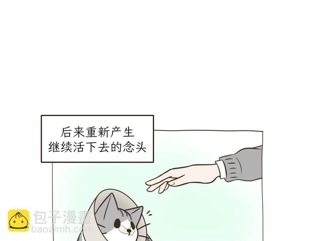 《吐司猫咪POUNDCAT》依喵儿的故事 第27页