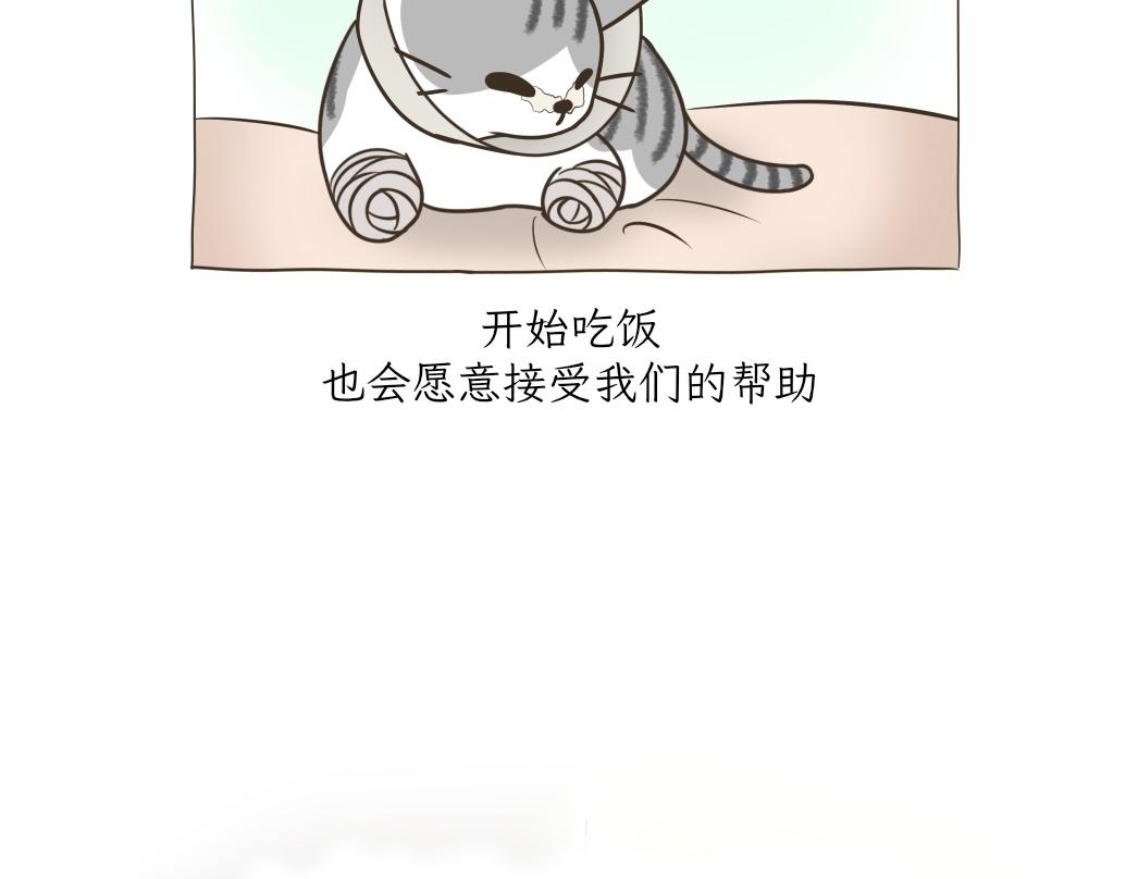 《吐司猫咪POUNDCAT》依喵儿的故事 第29页
