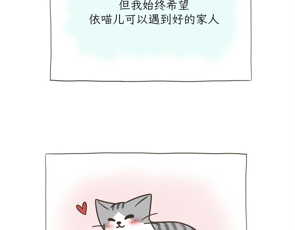 《吐司猫咪POUNDCAT》依喵儿的故事 第32页