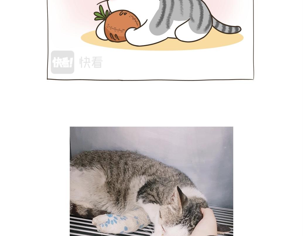 《吐司猫咪POUNDCAT》依喵儿的故事 第33页