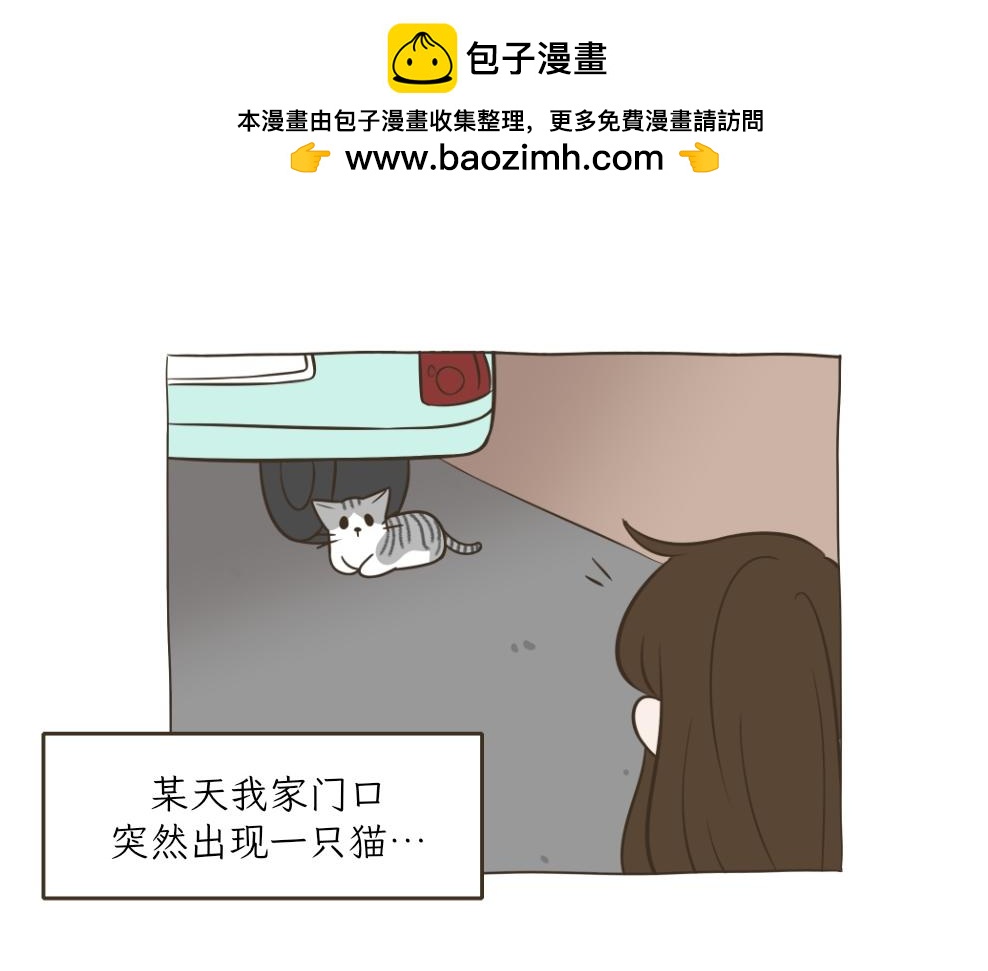 《吐司猫咪POUNDCAT》依喵儿的故事 第5页