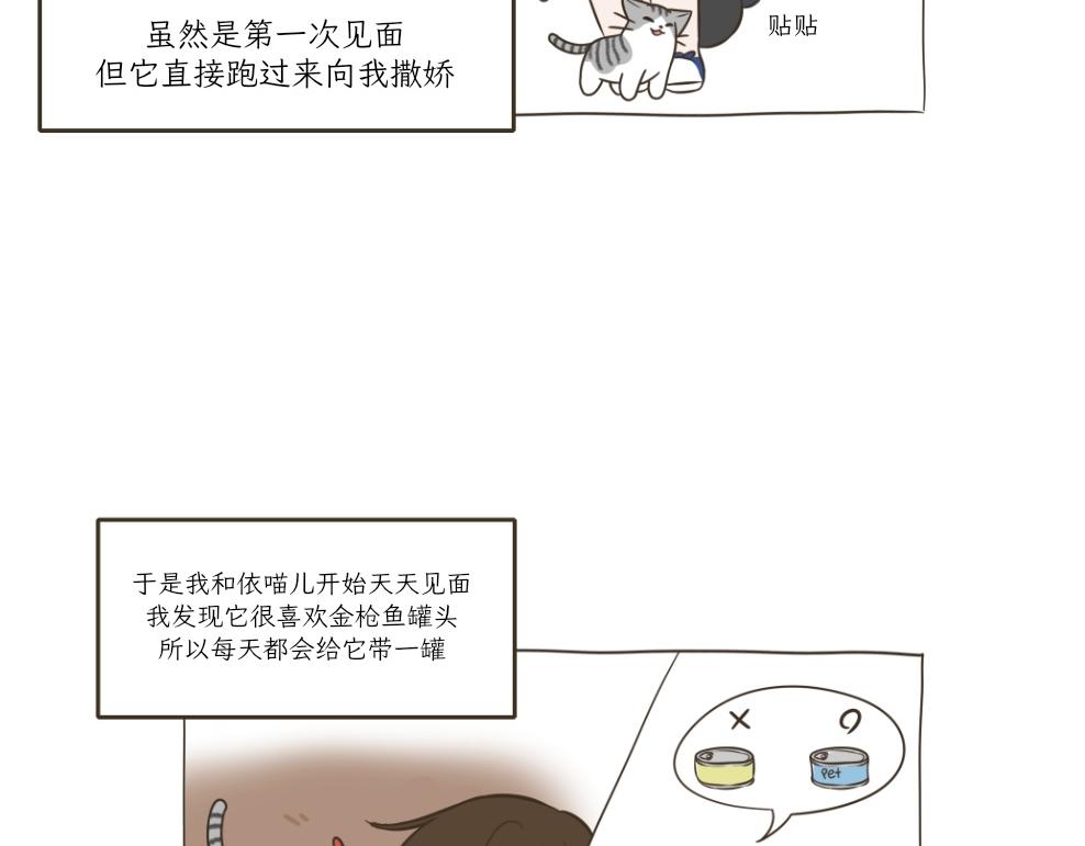 《吐司猫咪POUNDCAT》依喵儿的故事 第7页