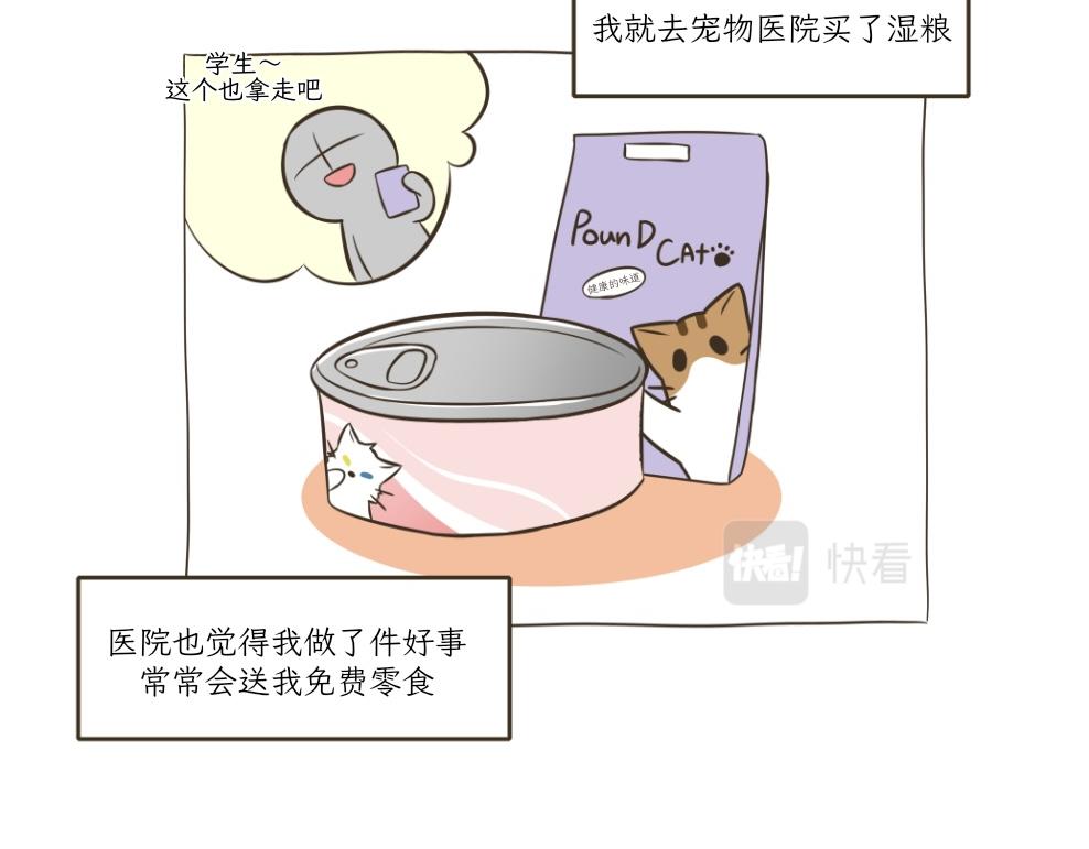 《吐司猫咪POUNDCAT》依喵儿的故事 第9页