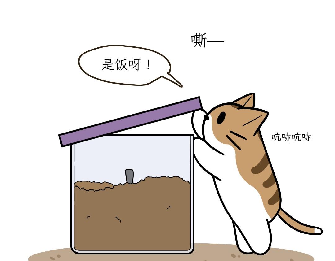 《吐司猫咪POUNDCAT》大无语事件 第11页