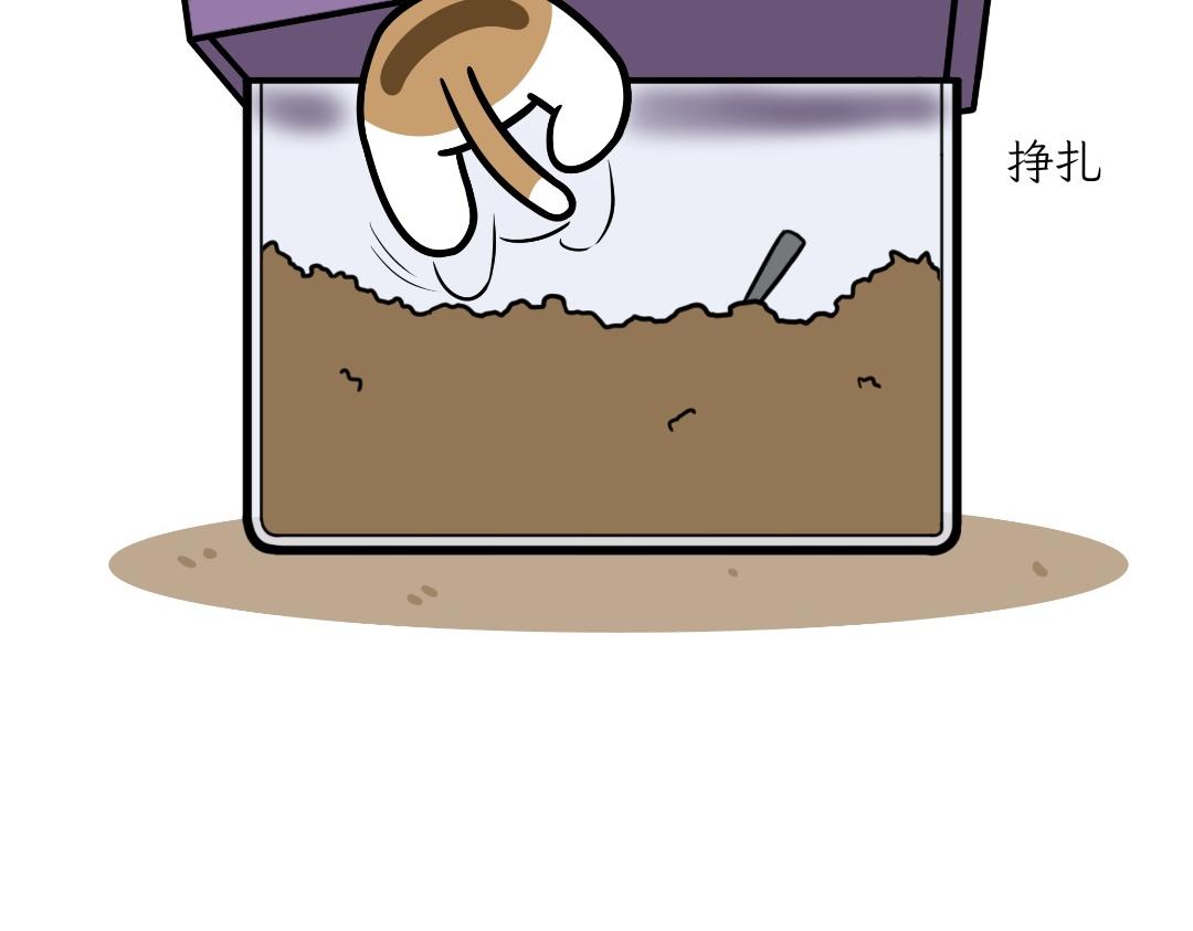 《吐司猫咪POUNDCAT》大无语事件 第13页