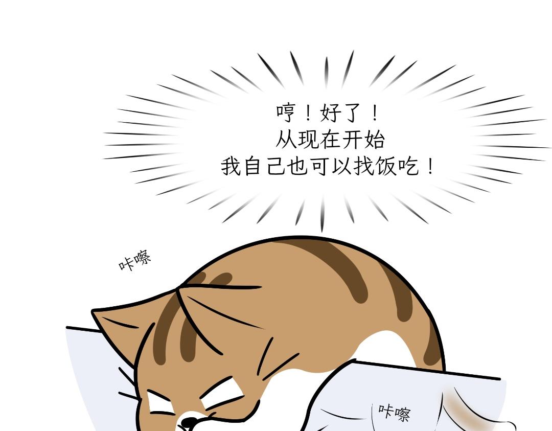 《吐司猫咪POUNDCAT》大无语事件 第14页