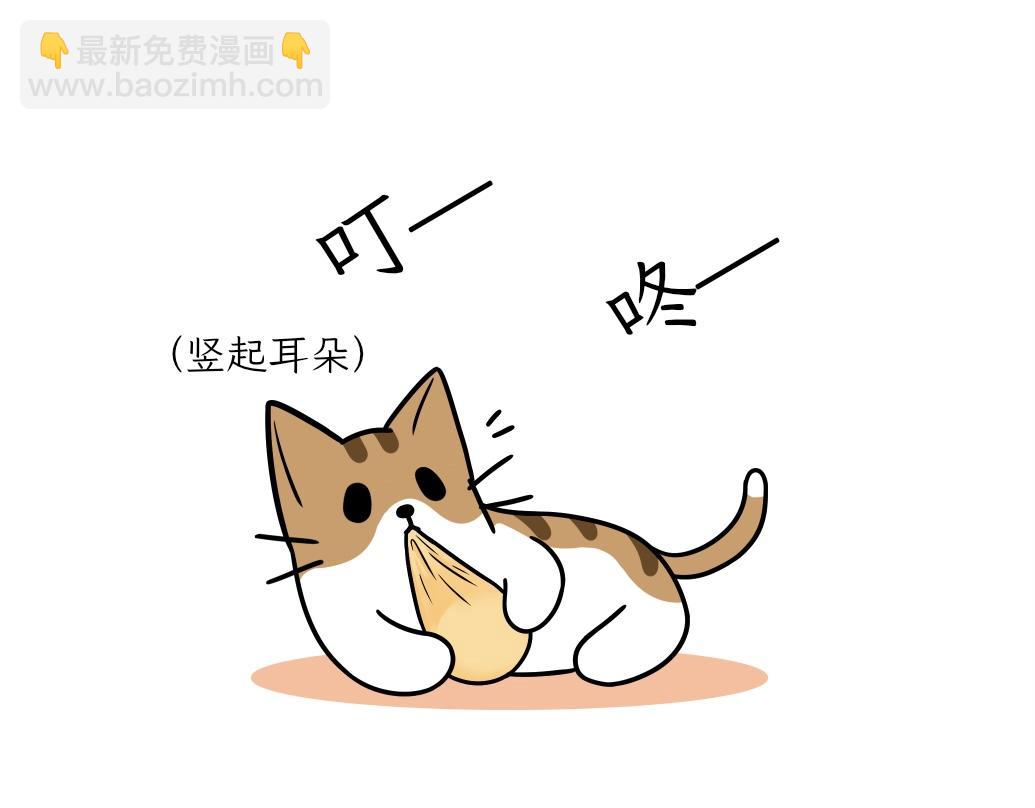 《吐司猫咪POUNDCAT》大无语事件 第17页