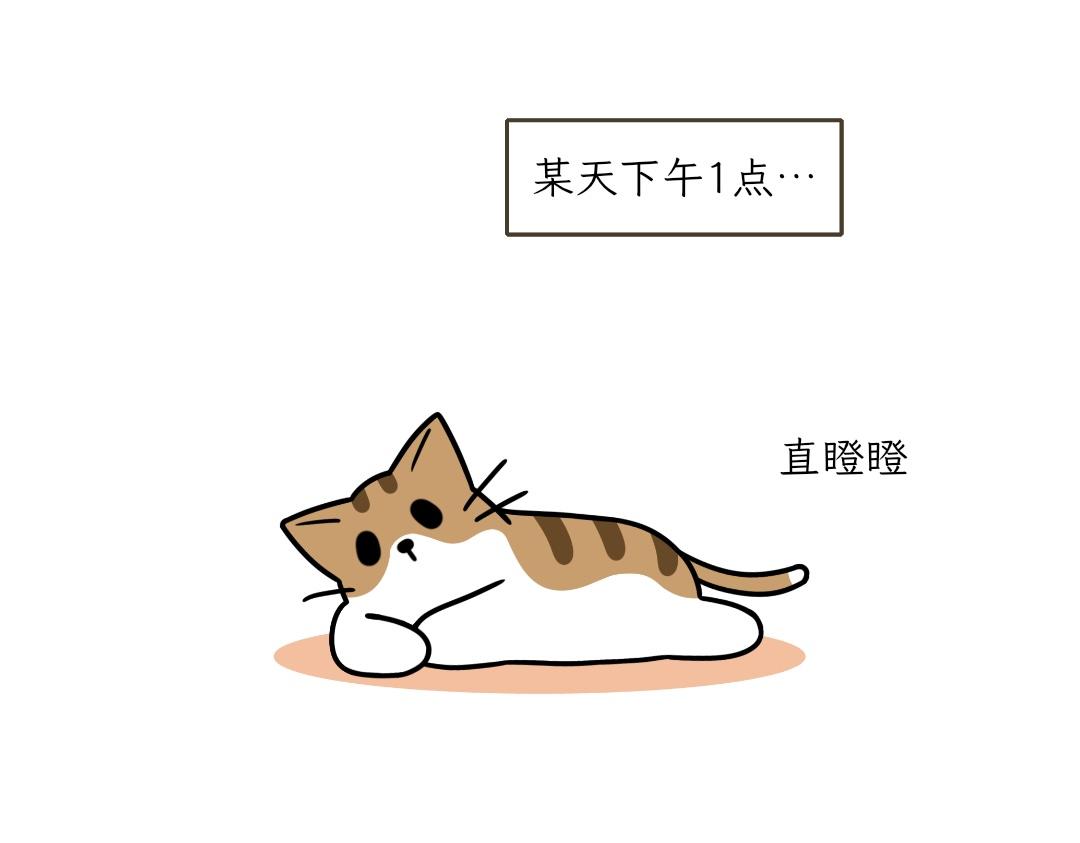 《吐司猫咪POUNDCAT》大无语事件 第1页