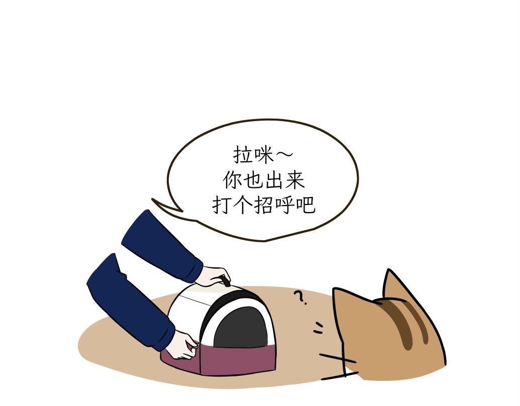 《吐司猫咪POUNDCAT》大无语事件 第22页