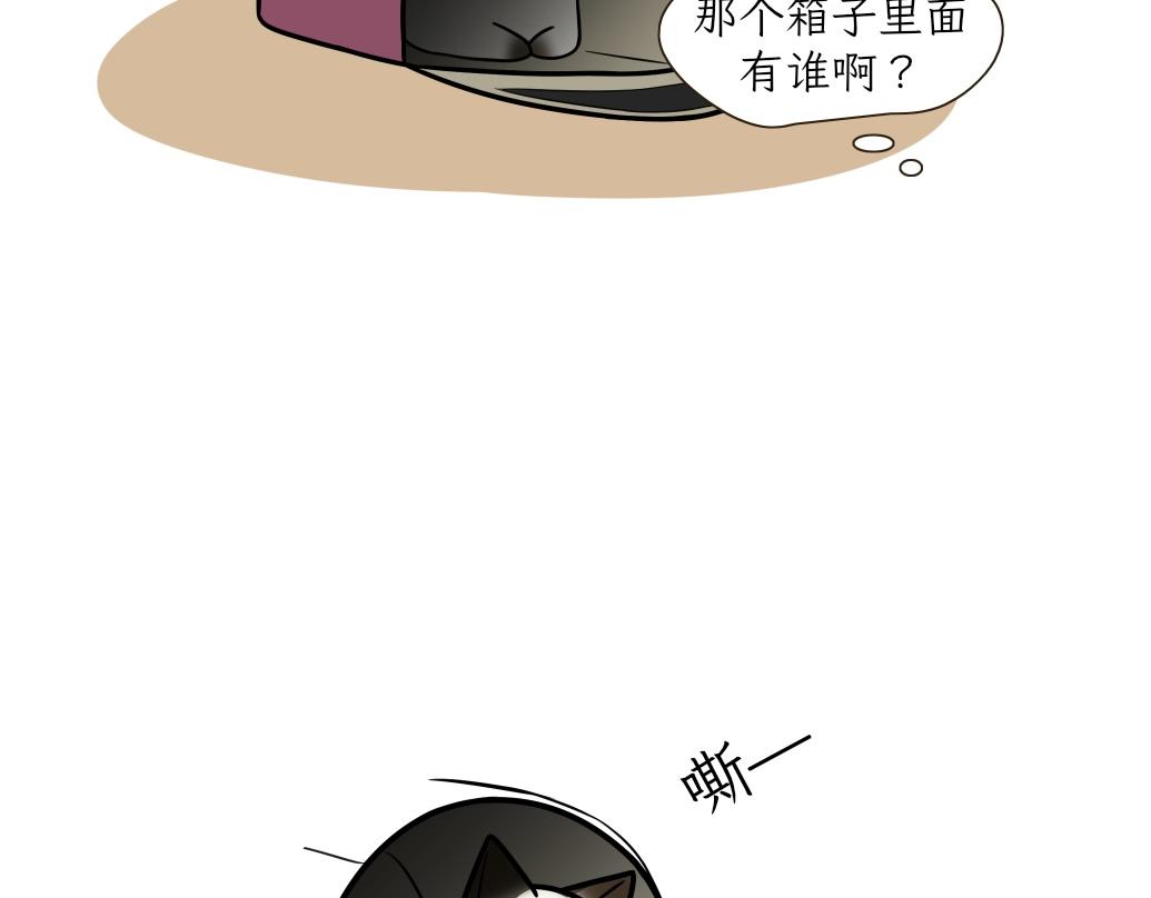 《吐司猫咪POUNDCAT》大无语事件 第24页