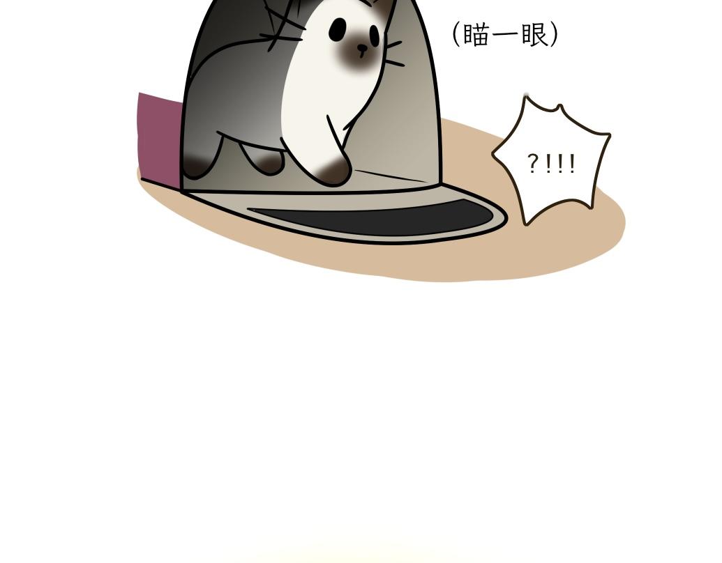 《吐司猫咪POUNDCAT》大无语事件 第25页
