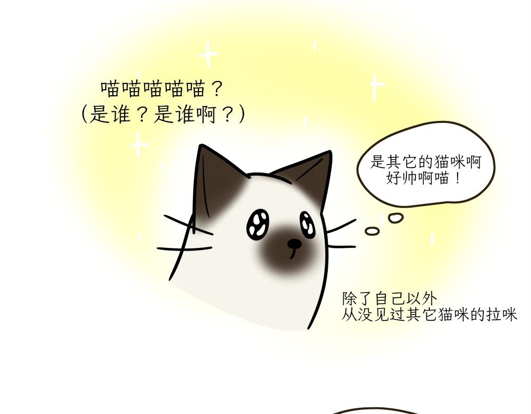 《吐司猫咪POUNDCAT》大无语事件 第26页