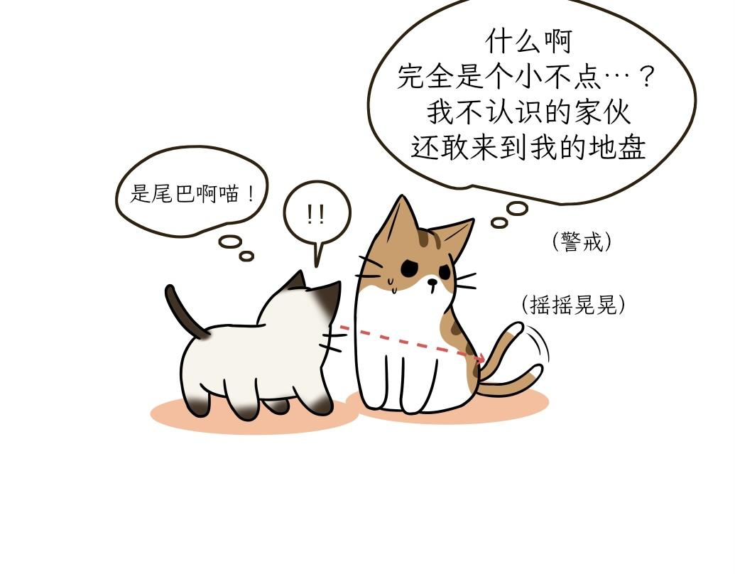 《吐司猫咪POUNDCAT》大无语事件 第27页