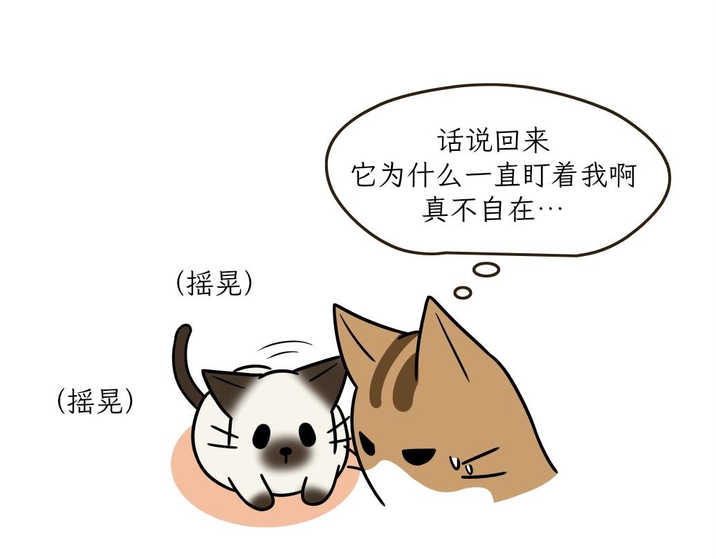 《吐司猫咪POUNDCAT》大无语事件 第28页