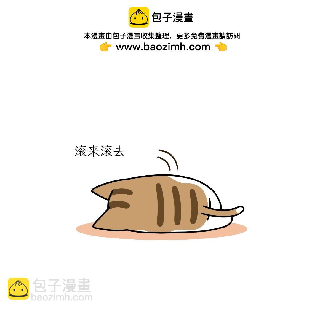 《吐司猫咪POUNDCAT》大无语事件 第2页