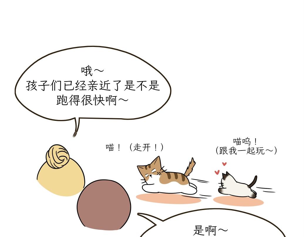 《吐司猫咪POUNDCAT》大无语事件 第32页