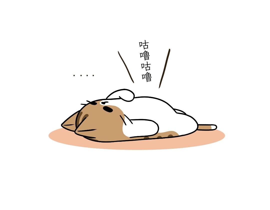 《吐司猫咪POUNDCAT》大无语事件 第3页