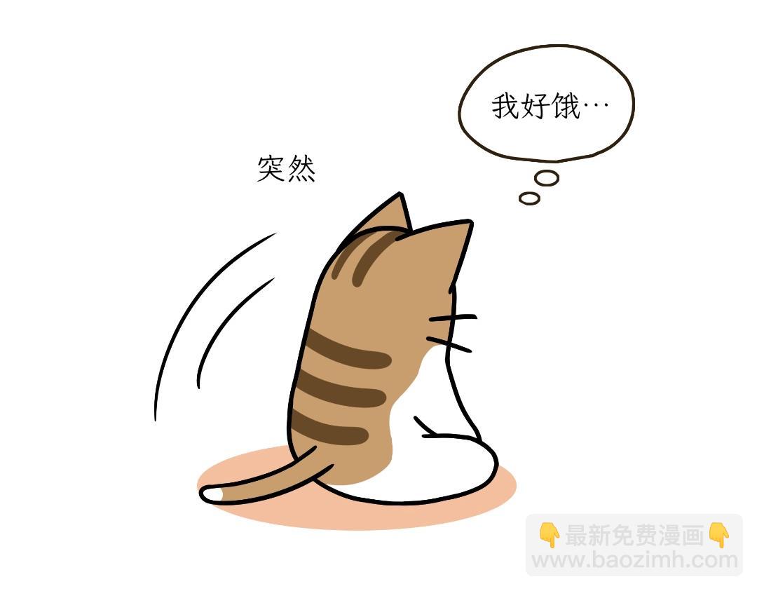 《吐司猫咪POUNDCAT》大无语事件 第4页