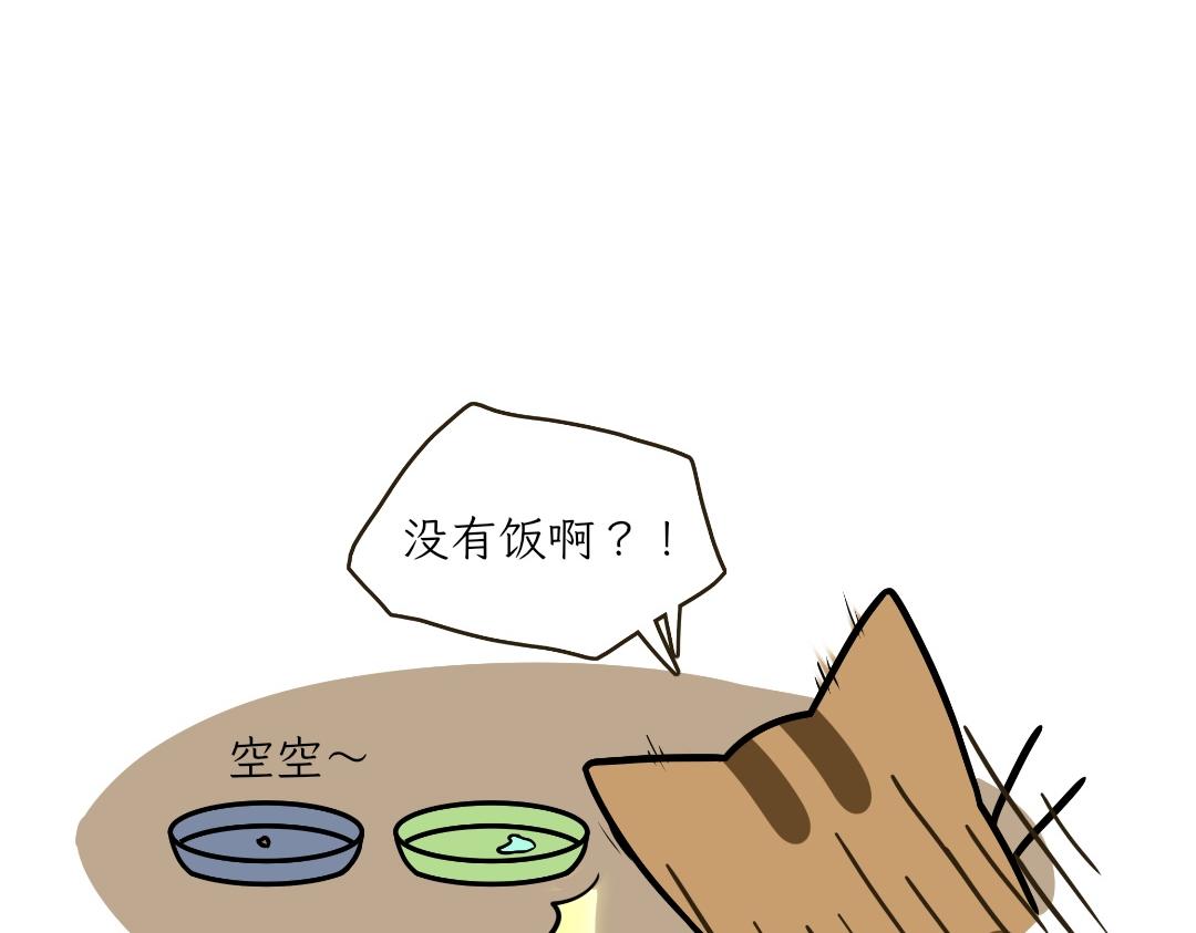 《吐司猫咪POUNDCAT》大无语事件 第5页