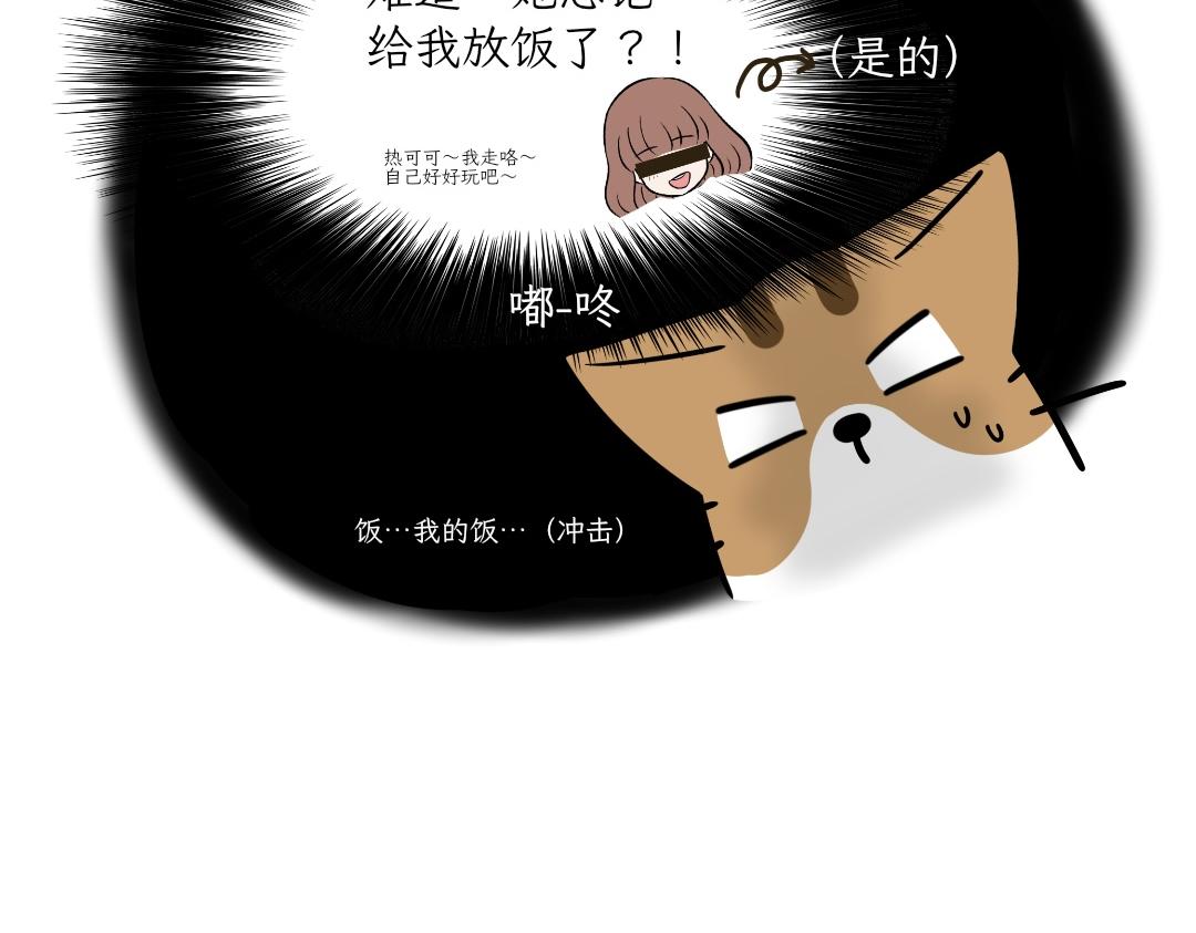 《吐司猫咪POUNDCAT》大无语事件 第7页