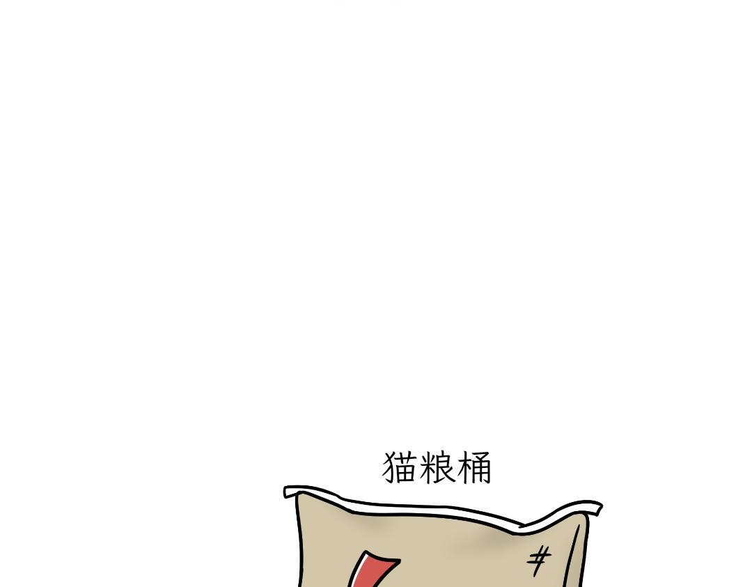 《吐司猫咪POUNDCAT》大无语事件 第9页
