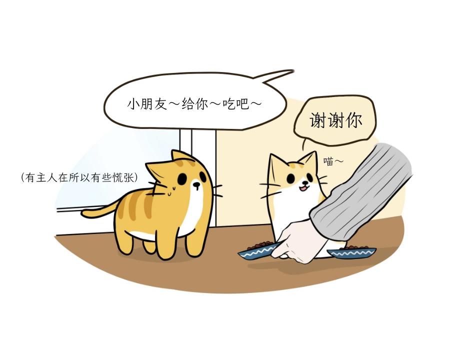 《吐司猫咪POUNDCAT》芝士的一天 第10页