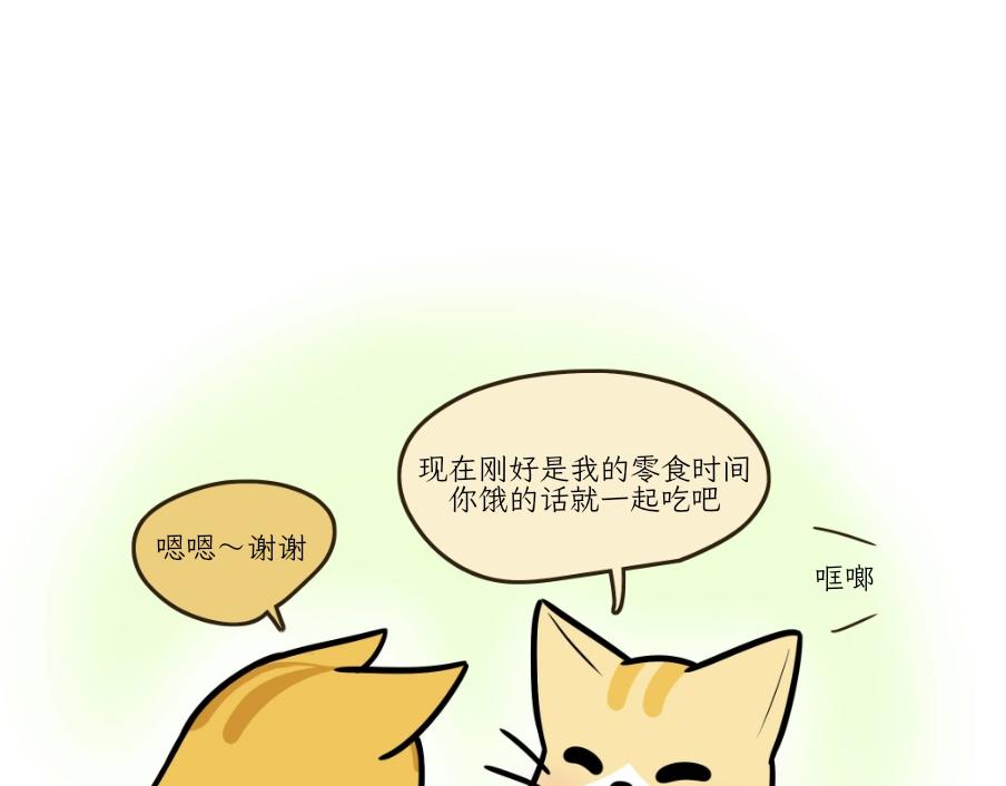 《吐司猫咪POUNDCAT》芝士的一天 第11页