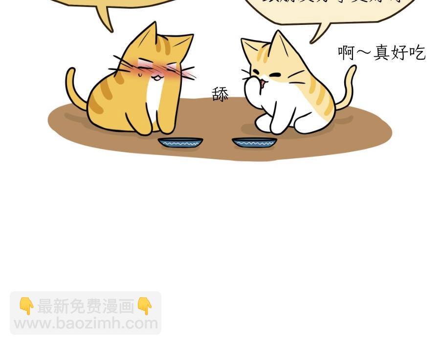 《吐司猫咪POUNDCAT》芝士的一天 第14页