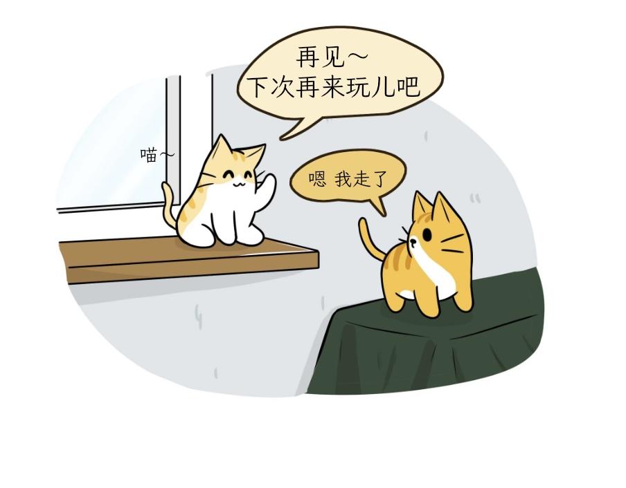 《吐司猫咪POUNDCAT》芝士的一天 第15页