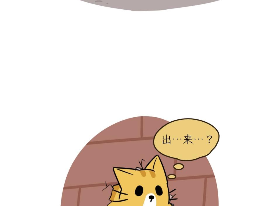 《吐司猫咪POUNDCAT》芝士的一天 第17页