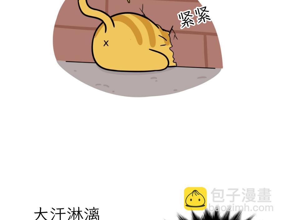 《吐司猫咪POUNDCAT》芝士的一天 第19页