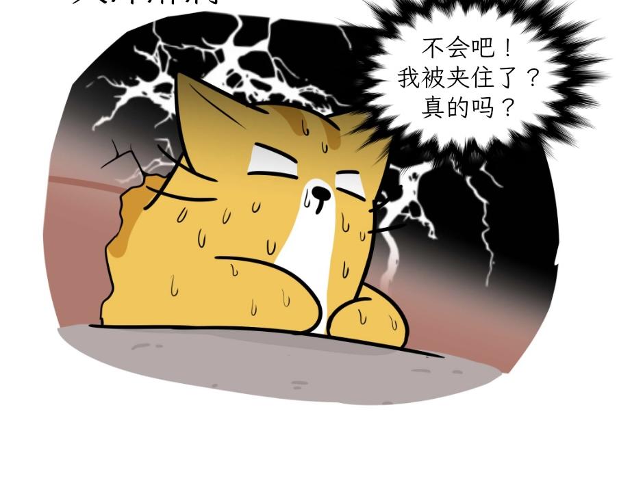 《吐司猫咪POUNDCAT》芝士的一天 第20页