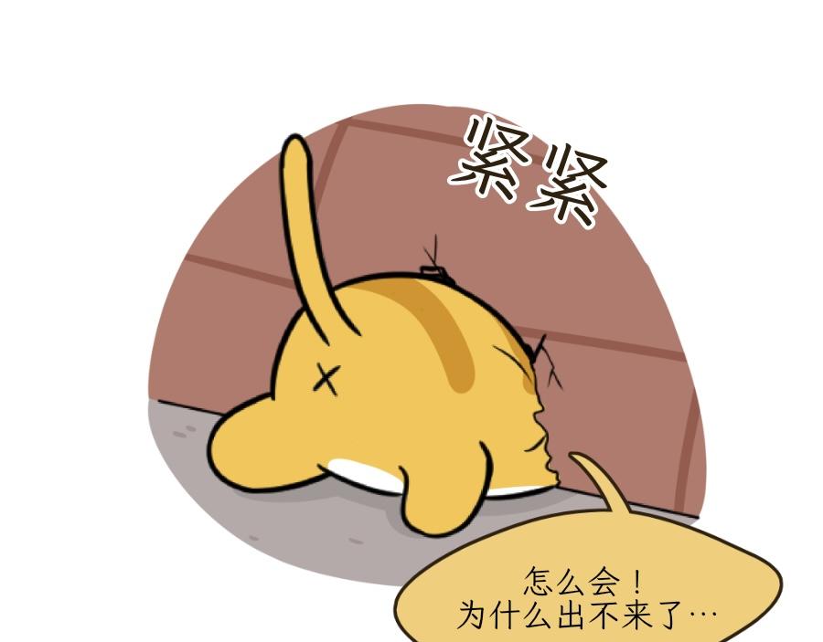 《吐司猫咪POUNDCAT》芝士的一天 第22页