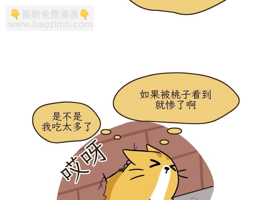 《吐司猫咪POUNDCAT》芝士的一天 第23页